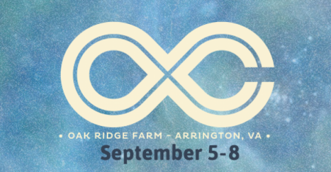 Lockn' Festival - Arrington, VA - September 2013